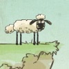 שון כבשון
